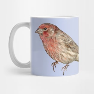 House Finch Song Bird Colorful Illustration Mug